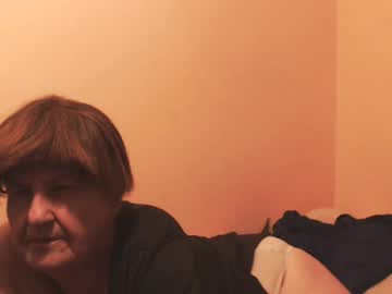 WildRedCat video